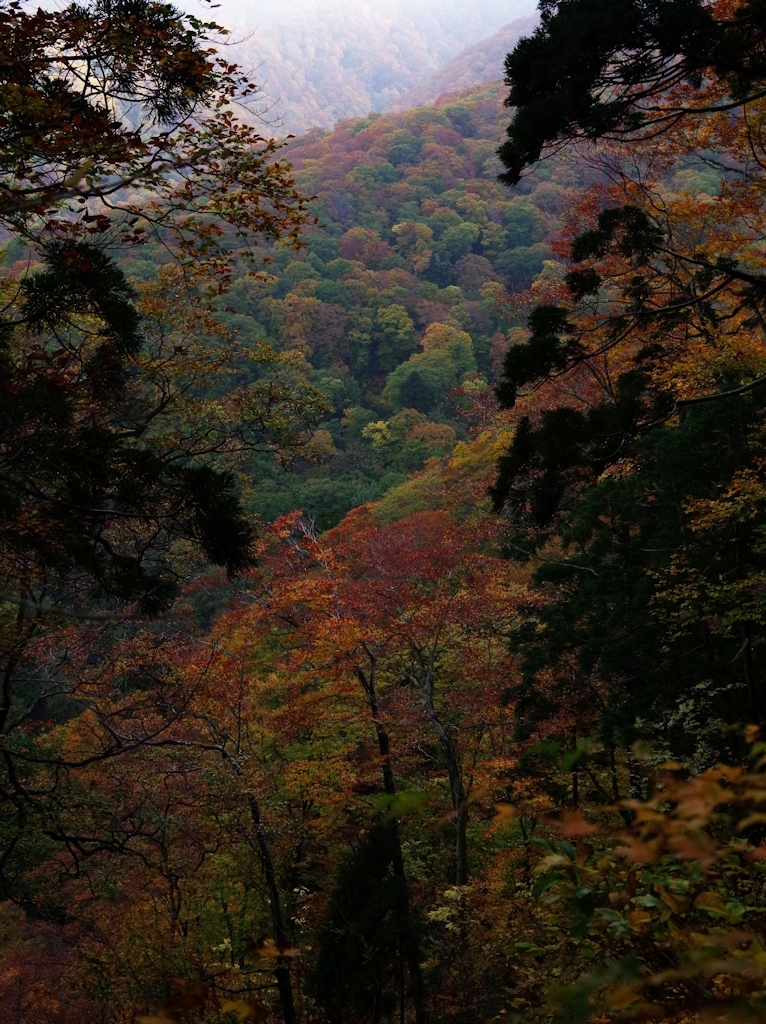 太平山2014Ⅲ