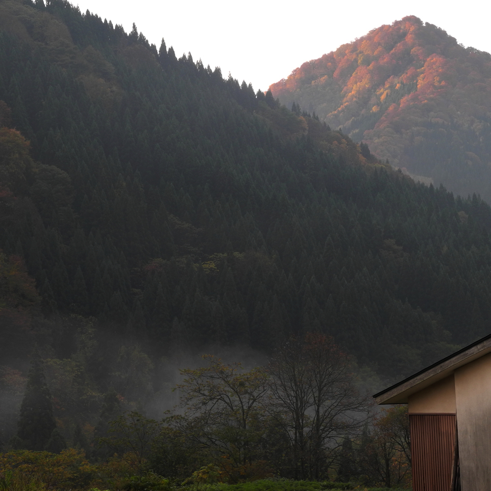 山里・秋の朝Ⅱ