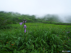 山肌を渡るⅡ
