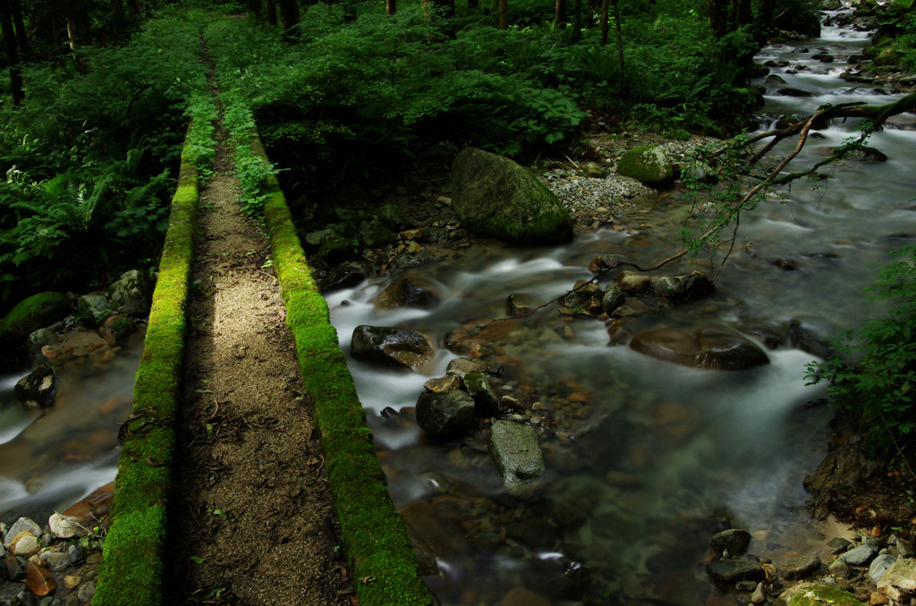 苔むした橋