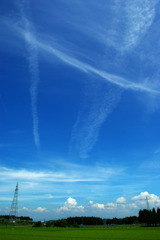 夏・田園