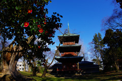 八橋日吉八幡神社