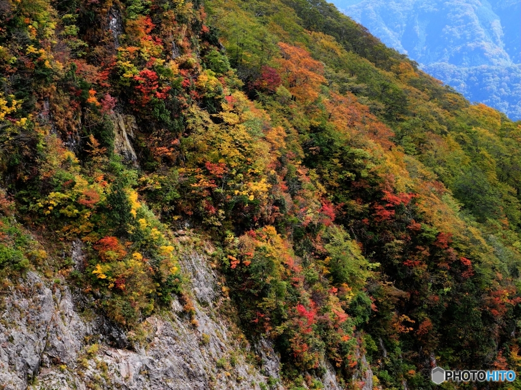 秋晴山行Ⅲ