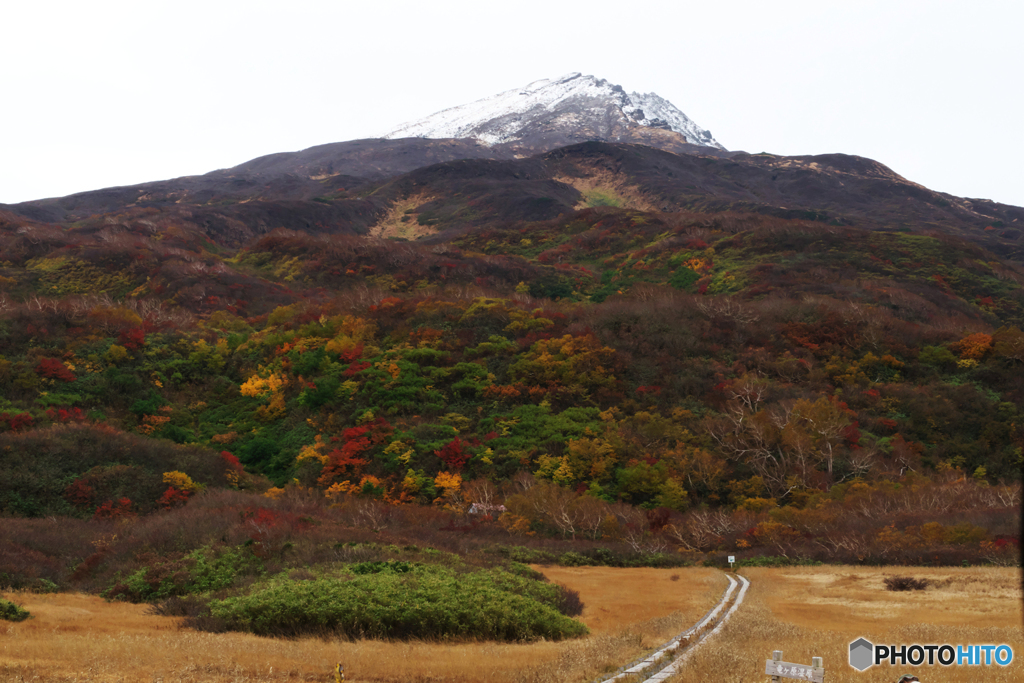 竜ヶ原湿原にてⅡ