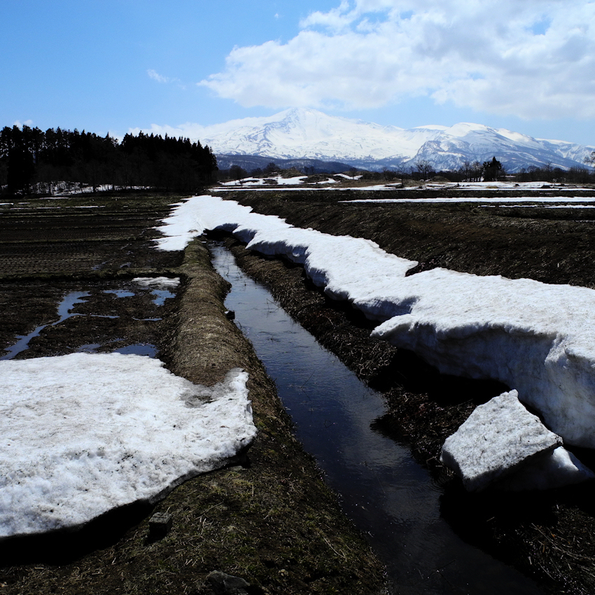 雪解けの頃