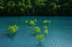 扇秋湖Ⅲ
