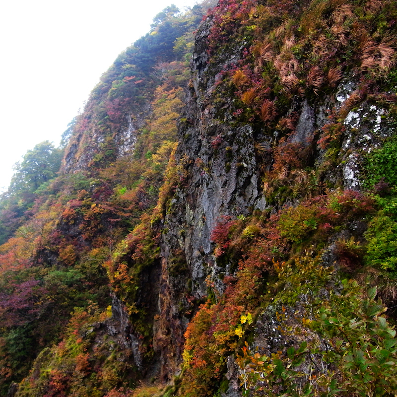 太平山・奥岳へ行ってきましたⅧ