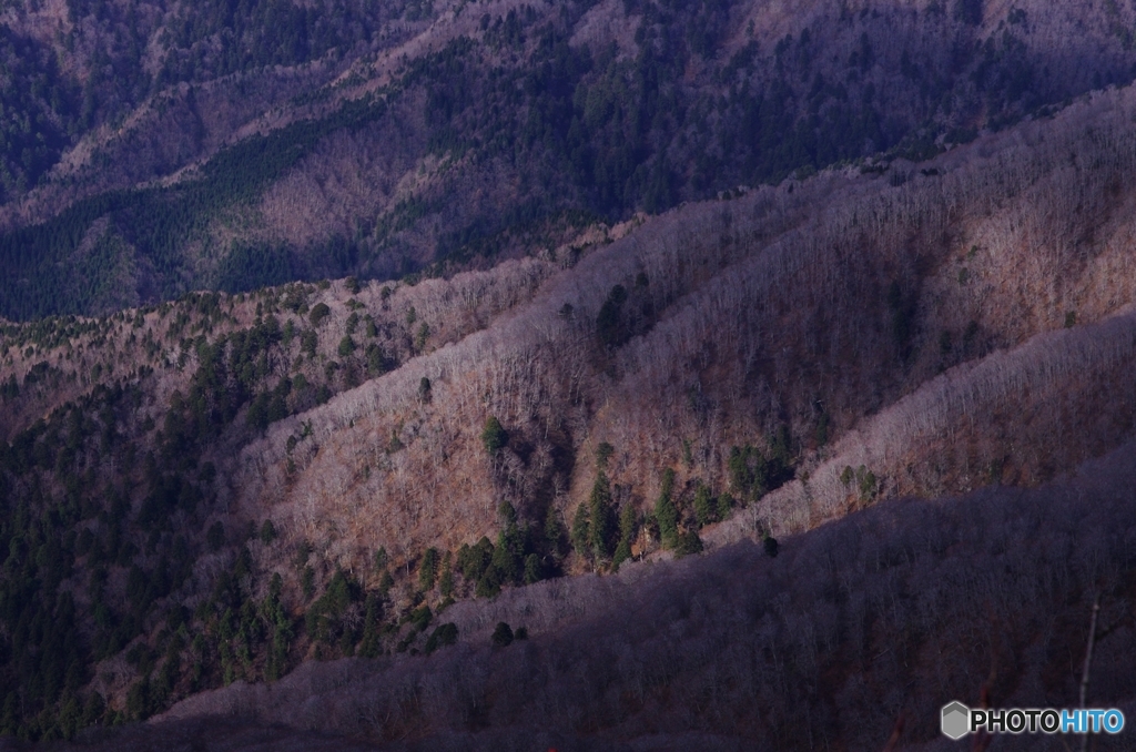 晩秋太平山Ⅳ