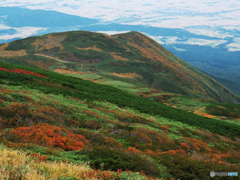 月山森を見下ろす