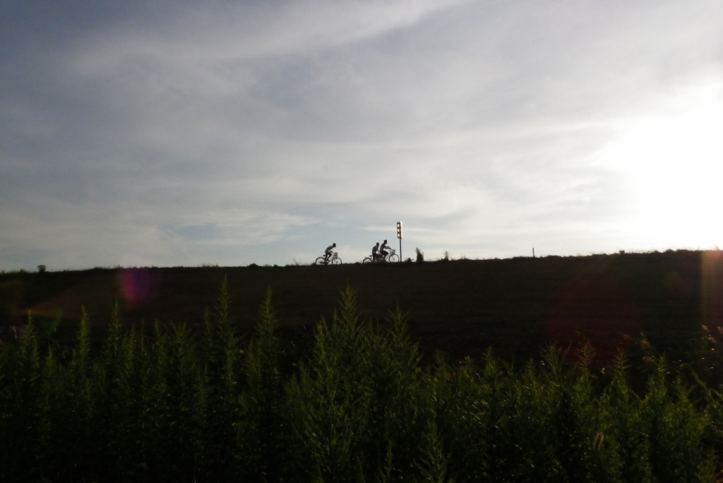 20101002家の近辺・河川敷025堤防の自転車少年X90