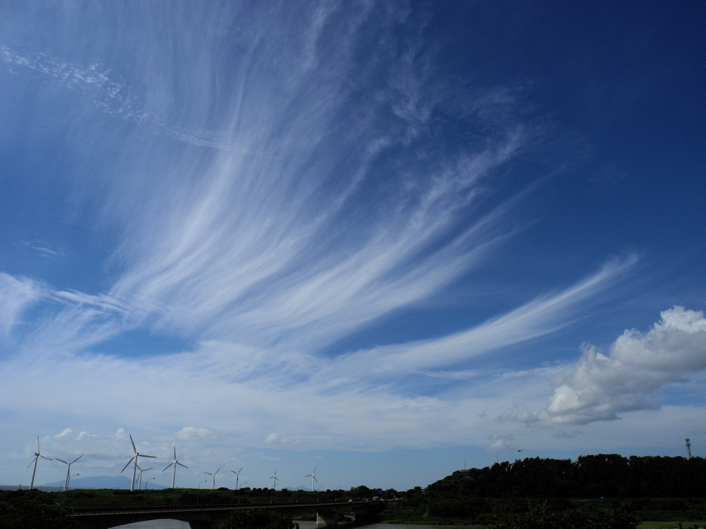 Silky Cloud