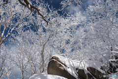 姫神山霧氷Ⅷ