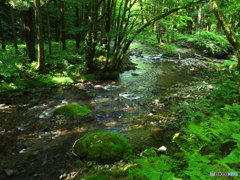 深山の流れⅡ