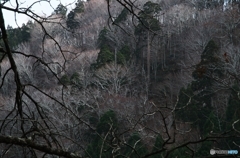 晩秋八塩山Ⅰ