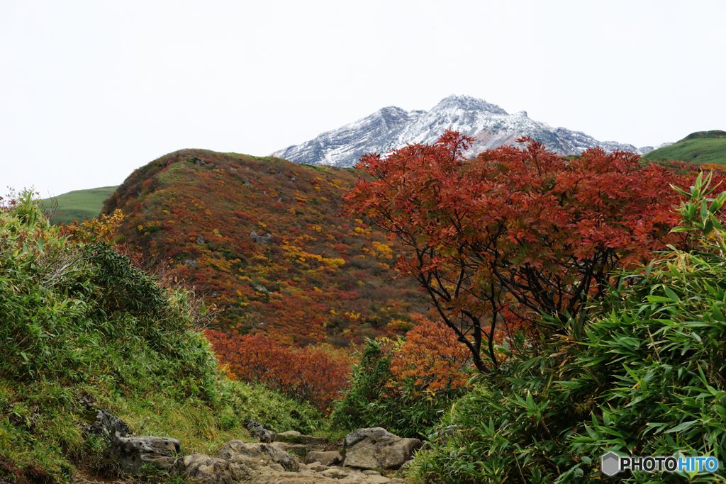 紅葉とお山Ⅰ