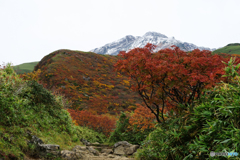 紅葉とお山Ⅰ