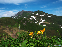 山と花と