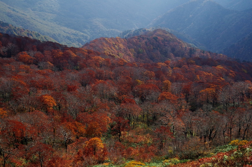 太平山2014Ⅷ