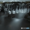 ICE  BONE