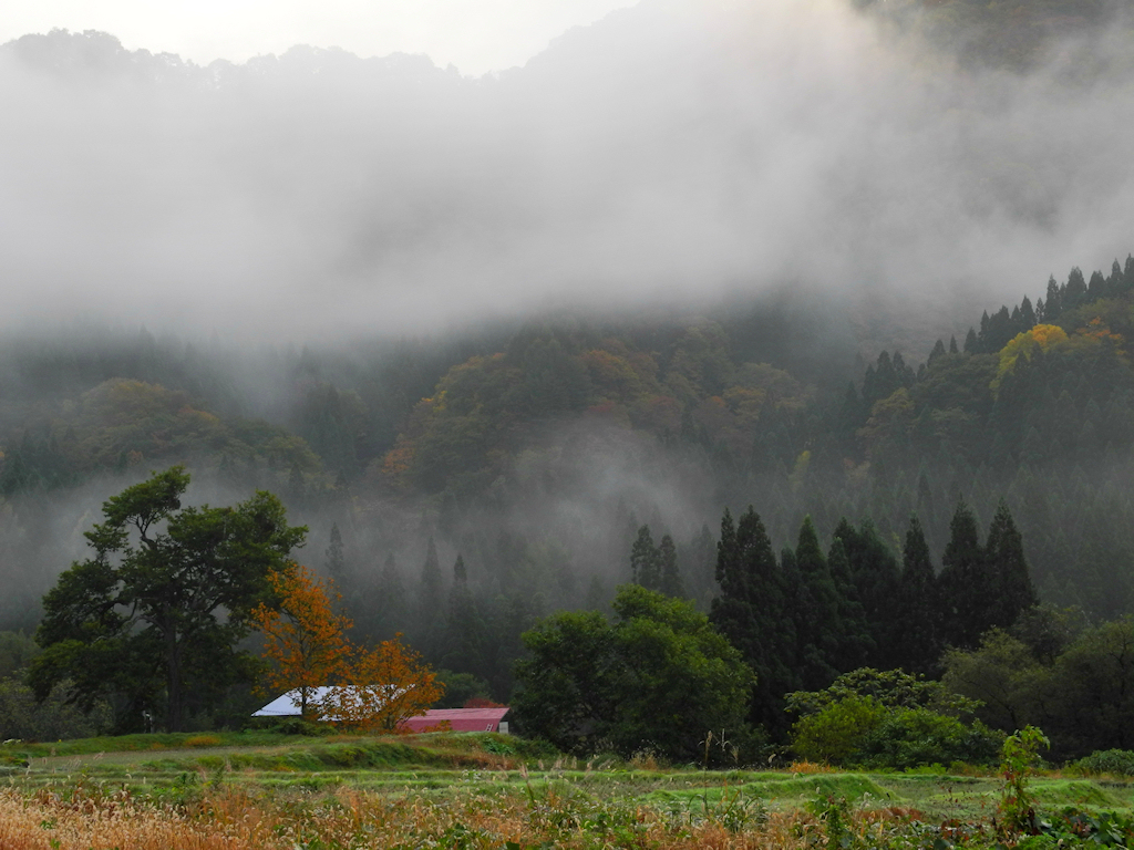 山里・秋の朝Ⅲ