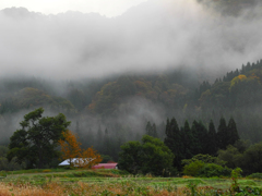 山里・秋の朝Ⅲ