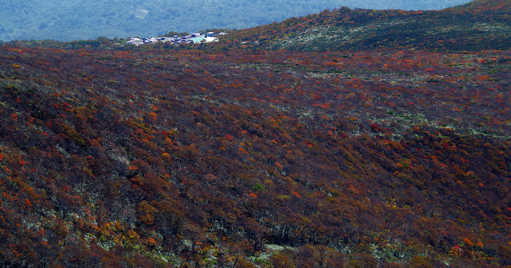 栗駒山にてⅦ