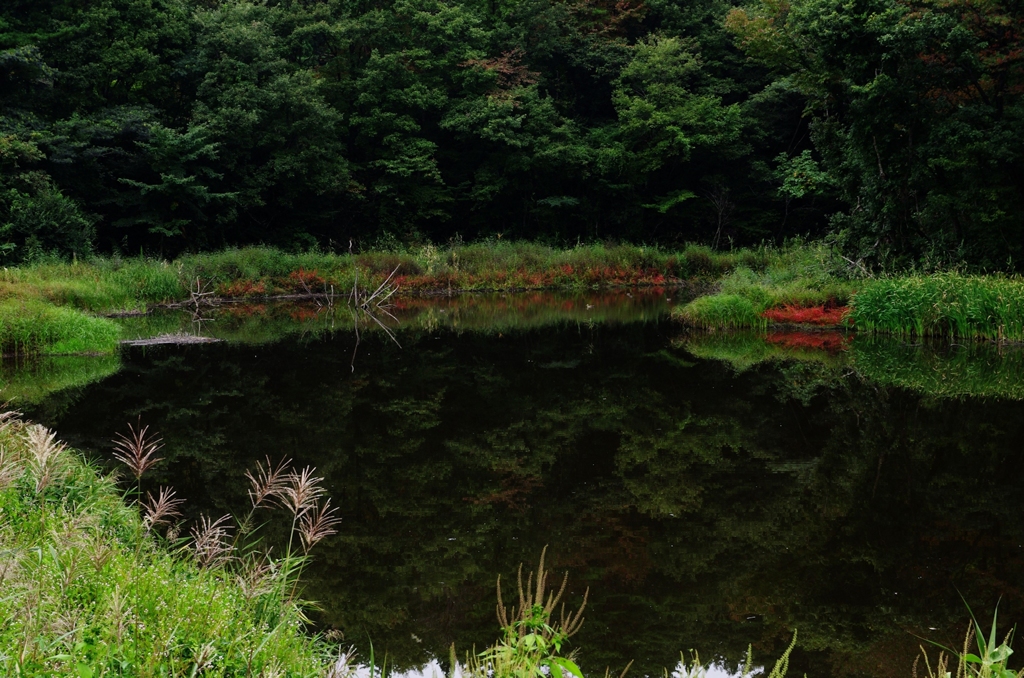 ため池・秋