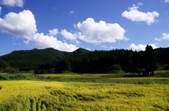 田園・秋晴れ