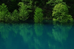 宝仙湖Ⅳ