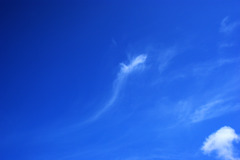 鰻雲？