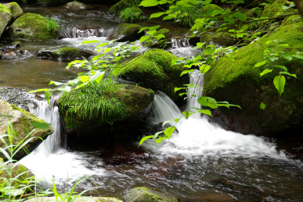 20100703e赤坂古道65渓流_K200D