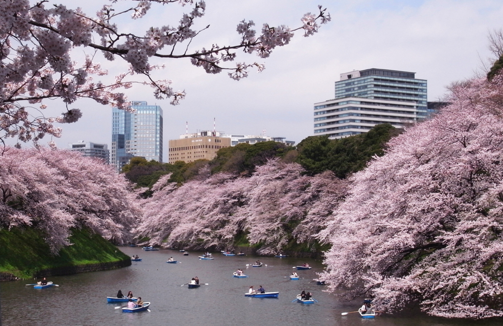 20100403千鳥ヶ淵68