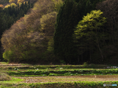 春の午後・里山の裾