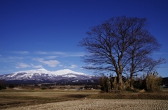 早春？鳥海山