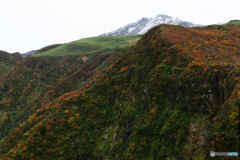 紅葉とお山Ⅱ