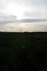 20101002家の近辺・河川敷019X90