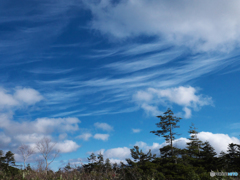 初冬の青空Ⅰ