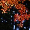 紅黄葉Ⅰ