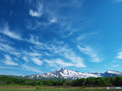 爽やか湿原