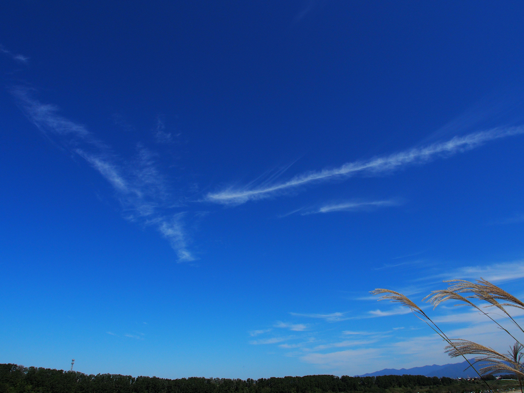 秋空Ⅱ