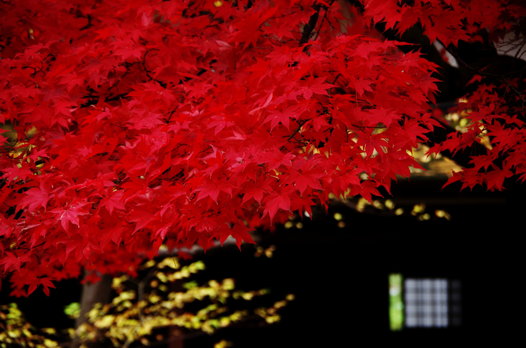 千秋公園にてⅠ