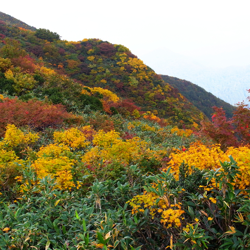 太平山・奥岳へ行ってきましたⅩ