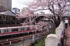 20100403聖橋02