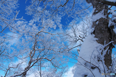 姫神山霧氷Ⅱ