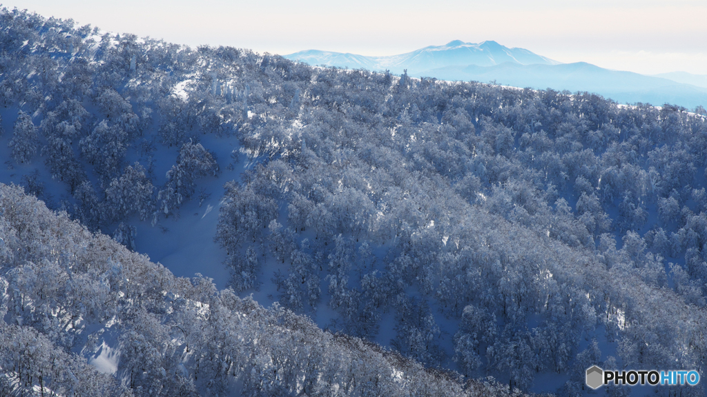 霧氷の山肌