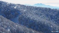 霧氷の山肌