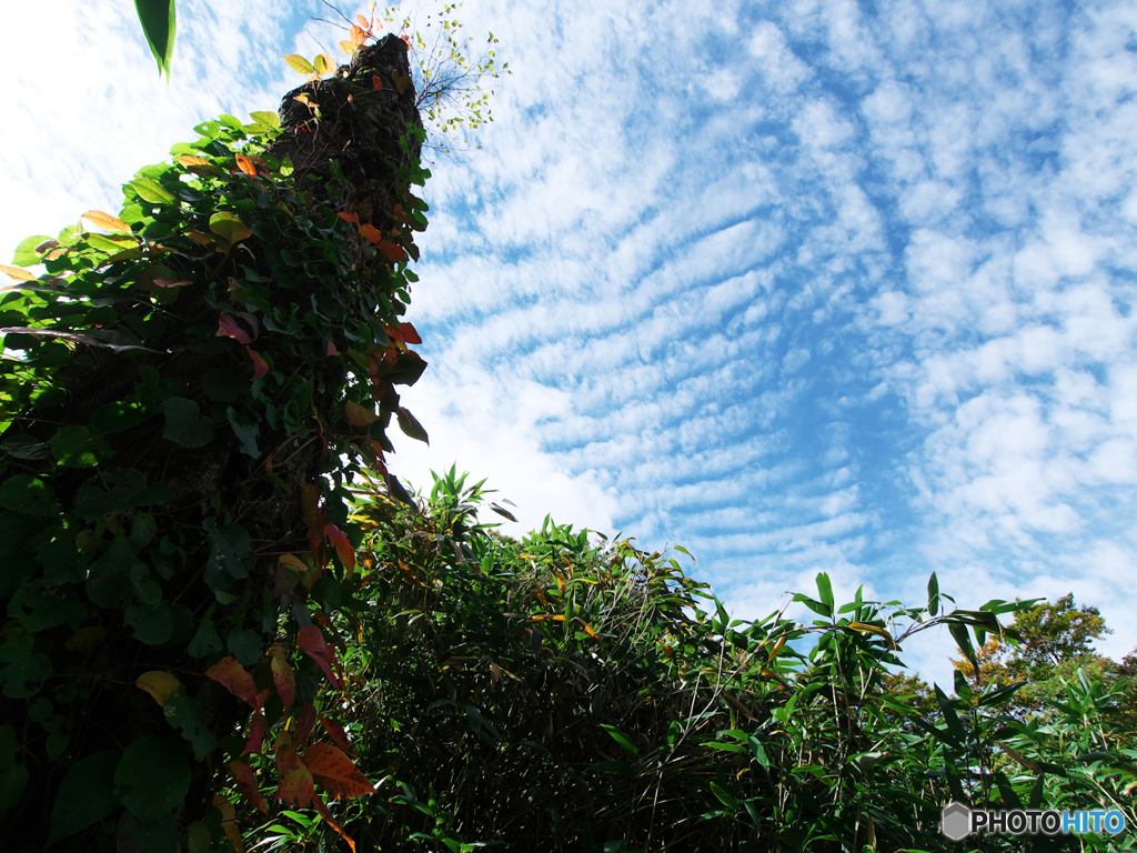 秋空Ⅰ