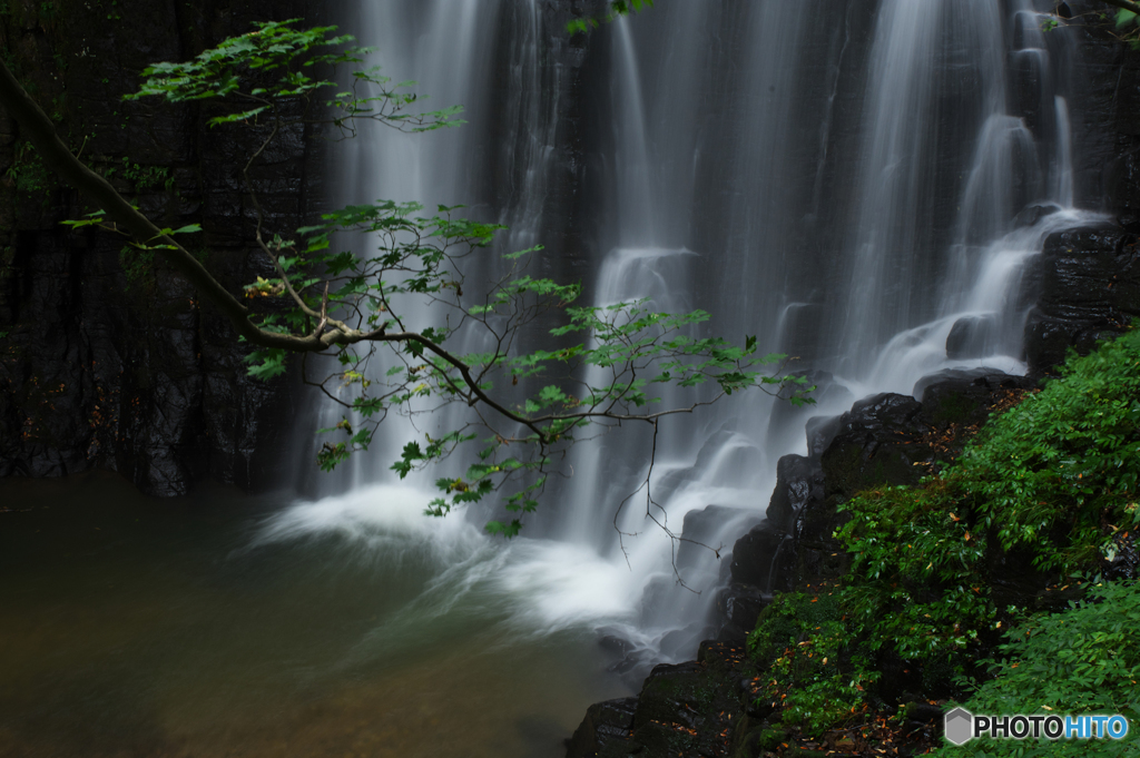 壺水庭