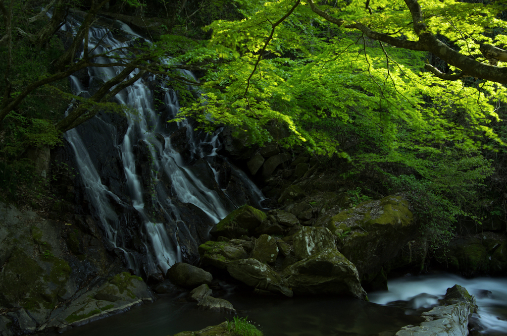 江竜田の滝Ⅳ　そうめん滝
