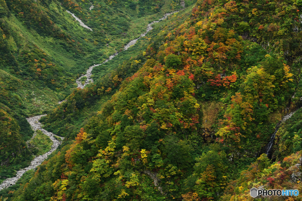 奈曾川の岸